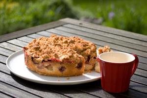 Apple & Rhubarb Crumble Sponge Cake Recipe | Rustle Up