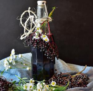 Homemade Elderberry Cordial Recipe | Rustle Up