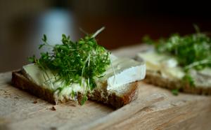 Creamy Brie on Rye with Garden Cress Recipe | Rustle Up