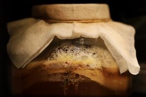 Classic Homemade Kombucha Recipe | Rustle Up