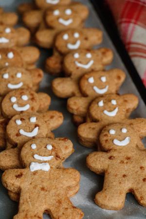 Gingerbread Biscuits Recipe | Rustle Up