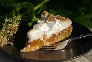 Apricot Jam Tart with Toasted Meringue Recipe | Rustle Up