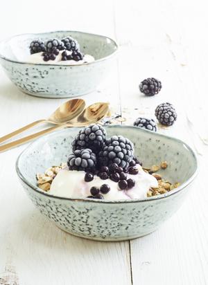 Musli Topped with Greek Yoghurt & Berries Recipe | Rustle Up