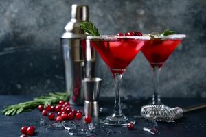Red Current & Rosemary Martini Recipe | Rustle Up