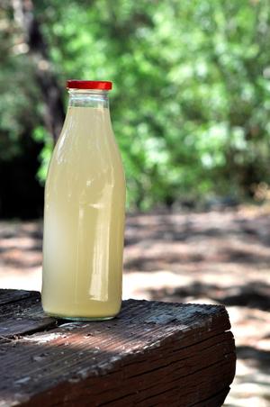 Homemade Ginger Beer Recipe | Rustle Up