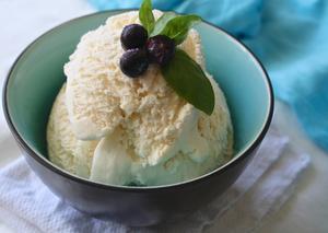 Creamy Vegan Coconut Milk Ice-Cream Recipe | Rustle Up