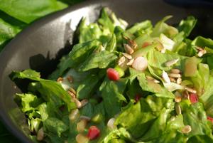 Crisp Lettuce Salad with Sunflower Seeds & Pickled Rhubarb Recipe | Rustle Up