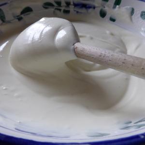 Homemade Mayonnaise Recipe | Rustle Up